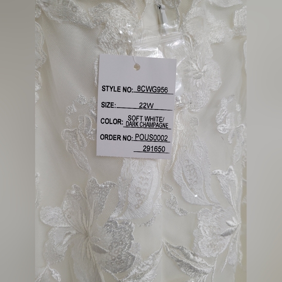 Beautiful Plus Size Wedding Dresses - Picture 11 of 12